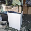 本日店頭即売会【ペットバルーン・大阪・ADA・中古・買取】