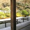 京都の桜（3）・南禅寺の天授庵