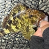 現在地点の確認、釣果を求めて