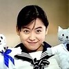 名画座魂366日＋12/20誕生日＆命日