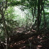 三川山へのハイク（その４）シャクナゲコース
