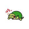 亀の甲より……🐢