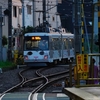 東急世田谷線三軒茶屋駅『ある日の幸福の招き猫電車・夕景編②』