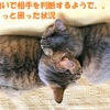 猫は匂いで相手を判断するようで、、、今ちょっと困った状況