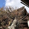 2/26、27休みます