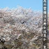 「鐘は上野か浅草か」、松尾芭蕉は、鐘の音をどこで聞いた。