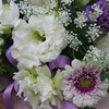DAILY  FLOWERS  !!