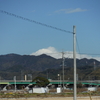 番付表の則遠　　（第49回）