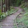 芦生研究林入口~灰野~神社 (美山芦生トロッコ道2)