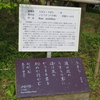 万葉歌碑を訪ねて（その１０９８）―奈良市春日野町　春日大社神苑萬葉植物園（５８）―万葉集　巻二十　四三五二　