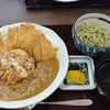タクうま