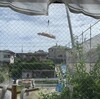 どんな家が出来るのだろう