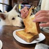 予期せぬ寒さと思いやり
