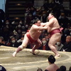視聴記録：琴風浩一さんが語る「相撲年齢」