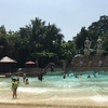シンガポールの巨大プール！セントーサ島・アドベンチャーコーブウォーターパークで遊び尽くす！