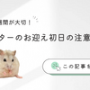 ハムスターお迎え初日の注意点は？飼い始めや最初の1週間のポイント