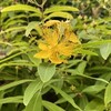 充実した老いの歩み