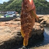 島根県でロックフィッシング