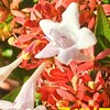 一年前の初悪化、今日は波静かなり　😉