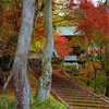 京都・京丹波 - 玉雲寺の紅葉