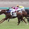 【新馬勝ち２歳総点検】デュッセルドルフ　田辺「着差以上の勝ち方」