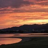 2024年8月9日（金）　「マサオのシネマ日記」は支配欲の賜物だろうか？
