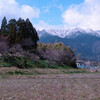 比良連山・雪