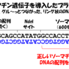 改めて、DNAの読み方をめちゃくちゃ分かりやすく説明するよ