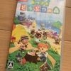 あつまれどうぶつの森が楽しすぎる。