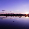 高須賀池の夕景2（埼玉県幸手市）