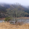 山下池（大分県湯布院）