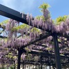 9年ぶりに訪れた場所