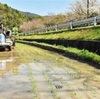 早苗の列、緑鮮やか　天草地方で田植え始まる