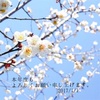 あけましておめでとうございます！