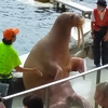 二日目　城崎マリンワールドの海獣達