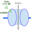 GABA（γアミノ酪酸）を増やそう！