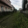 三田川