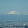 東京スカイツリーに行って来ました。