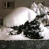 雪雪雪の一日