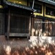 犬のおしっこ避け