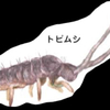 水田の準備