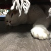 カミナリ中