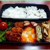 ５月１０日の、おやじ弁当