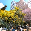 藏前神社の書置き御朱印の魅力と見どころを徹底紹介！