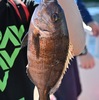 🎣横浜・八景島シーパラダイス へGO❗️ その③ うみファームで魚釣り🐠