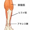 身体の悪い癖〜スポーツしている方必見！〜