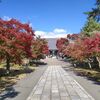 仁和寺の紅葉～桜だけじゃない！秋の仁和寺もまた美しい