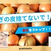 【老化】をストップ！奇跡のスーパースター【玉ねぎの皮】捨てないで！