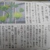 母の入院その後と一生一度の花が咲いたアガベ（池田市緑のセンターにて）