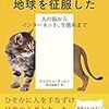 わたしを通り過ぎて行った猫たち